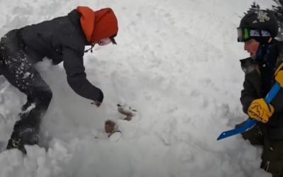 Video: College Students Find and Rescue Dog Buried by Avalanche, Missing for Over 20 Minutes