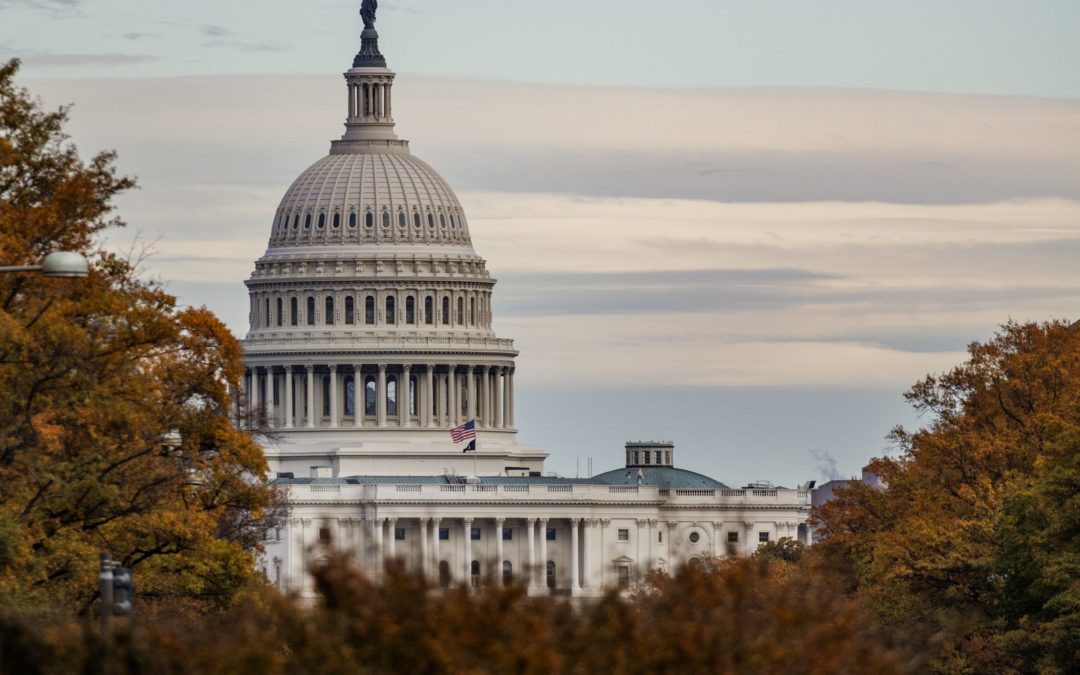 Dems Have a Dirty Trick to Win 2022 Midterms: Disqualify Republicans for ‘Insurrection’