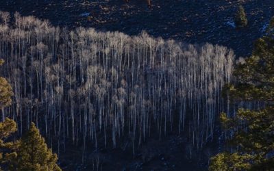 Letter from the Editor: The Colorado Sun staff doubled in 2021, and we have big plans for 2022