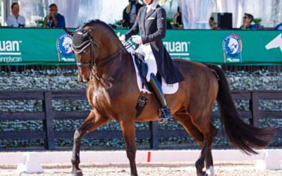 Jennifer Williams & Millione Post Another Personal Best in Wellington CDI4* Freestyle to Make it 2 for 2 at Global’s Opening