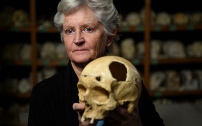 Bones, brains and bugs: Meet the Colorado forensic anthropologist who’s helped crack cases for decades