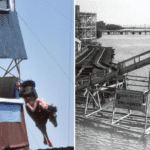 Horse Diving: Wild West Invention Turned Atlantic City Attraction