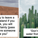 wrong-survival-myths-fb120.png